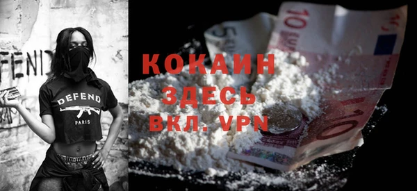 молекула духа Алексин