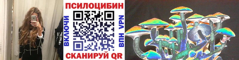 Псилоцибиновые грибы Cubensis omg ссылка Ивдель купить цена